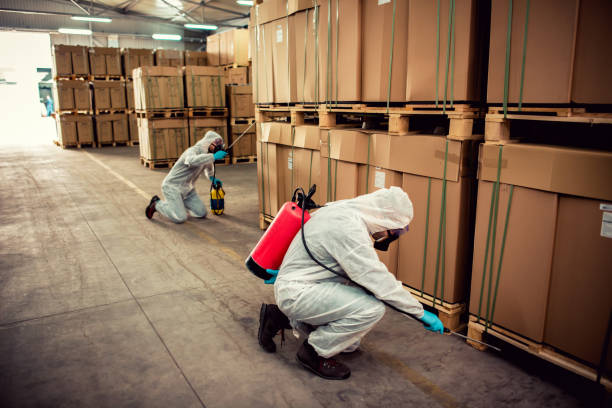Pest Prevention Services in Dalton, GA