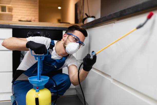 Best Pest Control Near Me  in Dalton, GA
