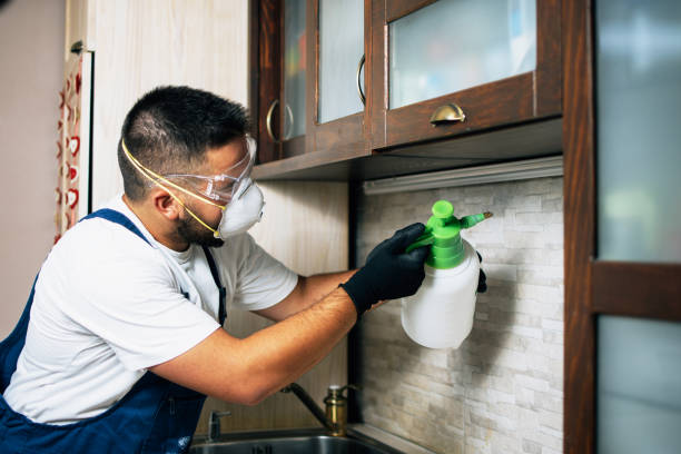 Best Exterminator Services  in Dalton, GA