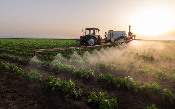 Best Pest Control for Businesses  in Dalton, GA