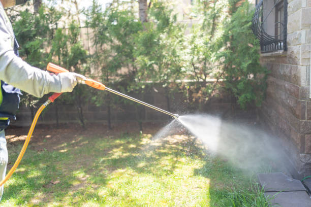 Best Local Pest Control Services  in Dalton, GA