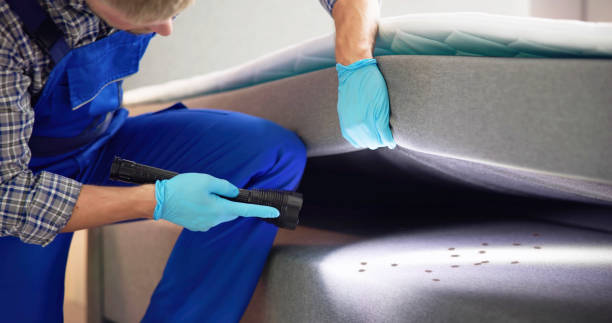 Best Local Pest Control Services  in Dalton, GA
