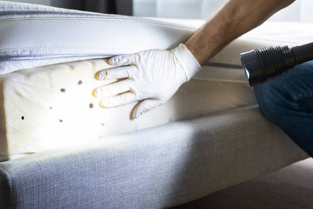 Best Pest Prevention Services  in Dalton, GA
